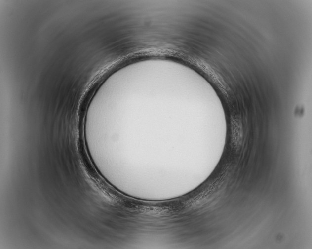 X0000097880486200804110955