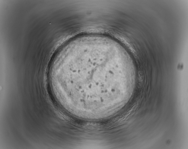 X0000097880487200804110955