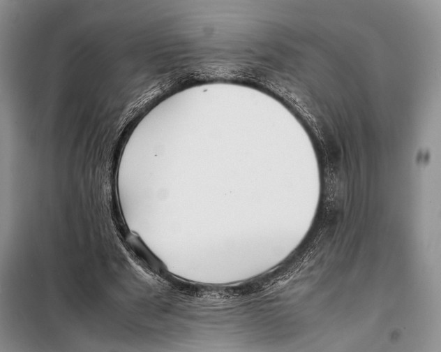 X0000097880489200804110955