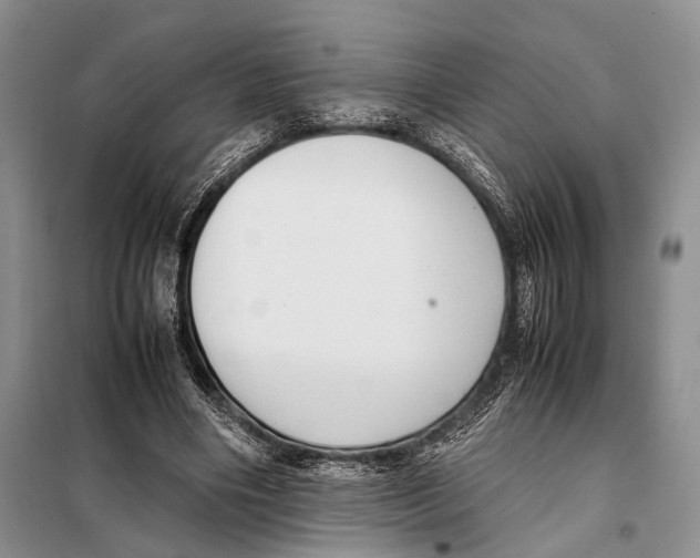 X0000097880490200804110955