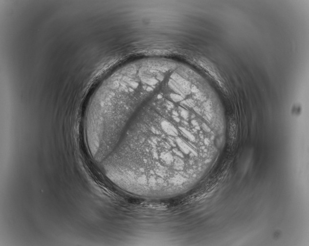 X0000097880491200804110955