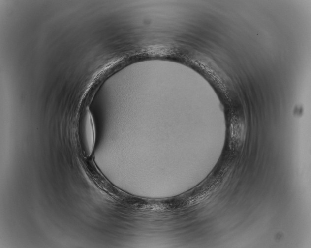 X0000097880492200804110955