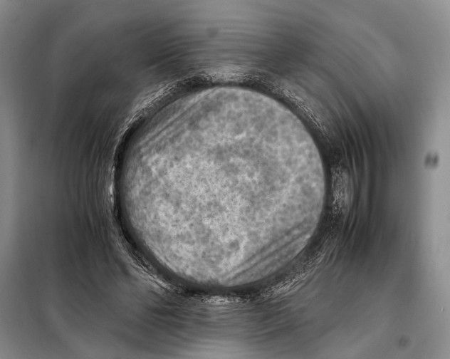 X0000097880494200804110955