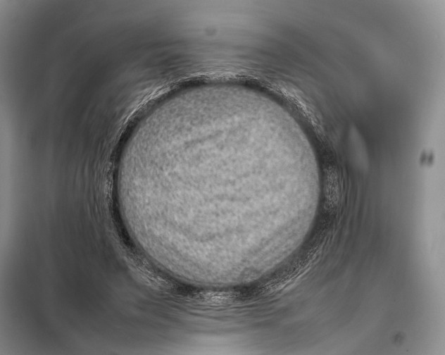 X0000097880495200804110955