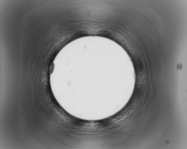 X0000097880497200804110955