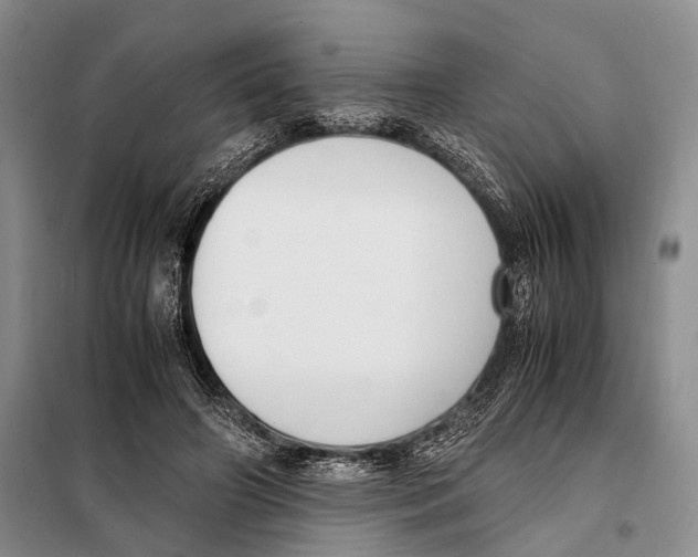 X0000097880498200804110955