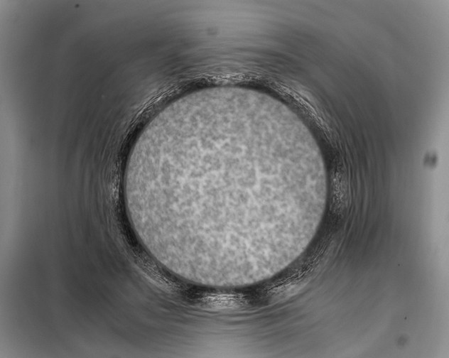 X0000097880499200804110955