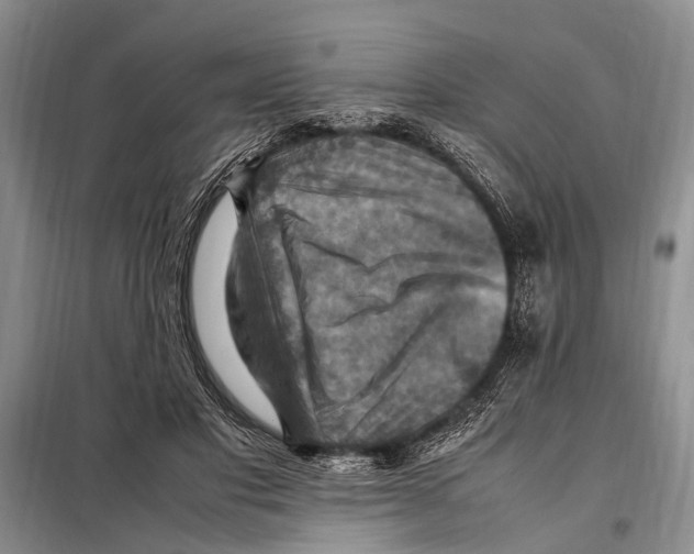 X0000097880501200804110955