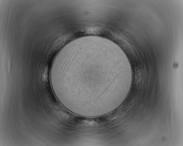 X0000097880502200804110954