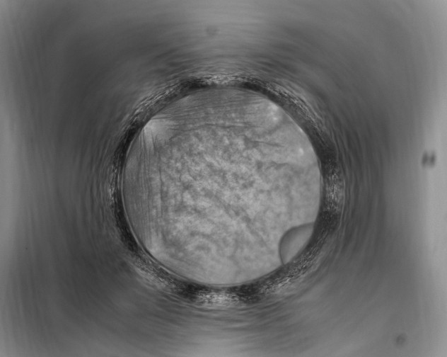 X0000097880503200804110954