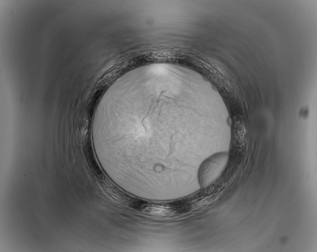 X0000097880507200804110954