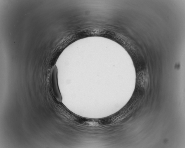 X0000097880509200804110954