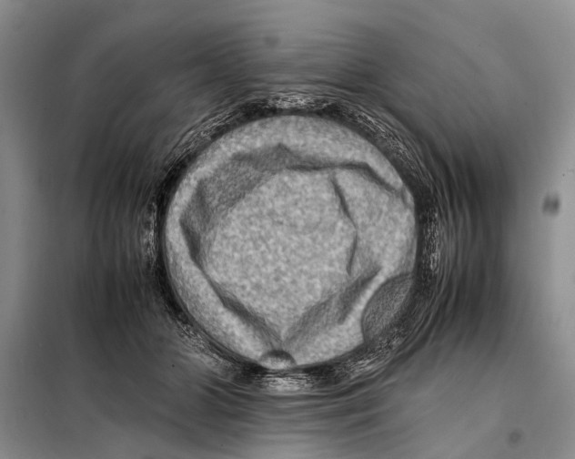 X0000097880510200804110954