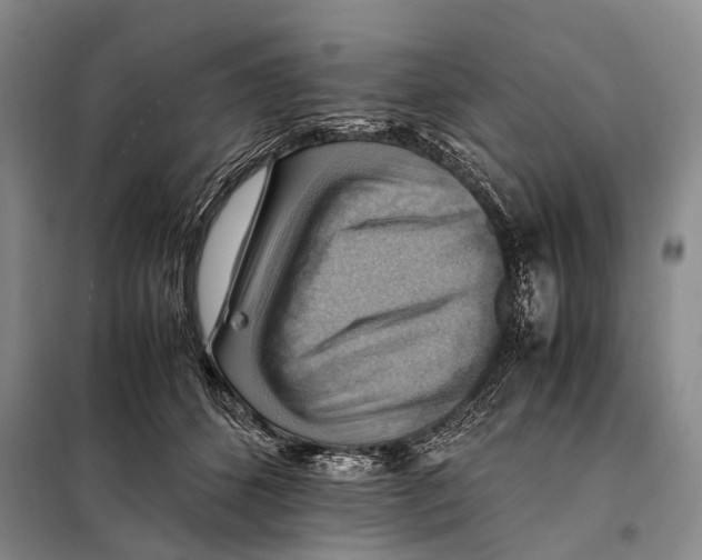 X0000097880512200804110954