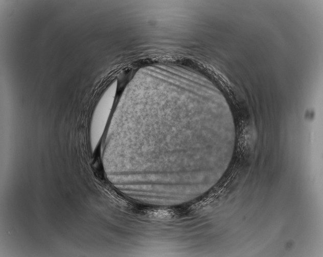 X0000097880513200804110954