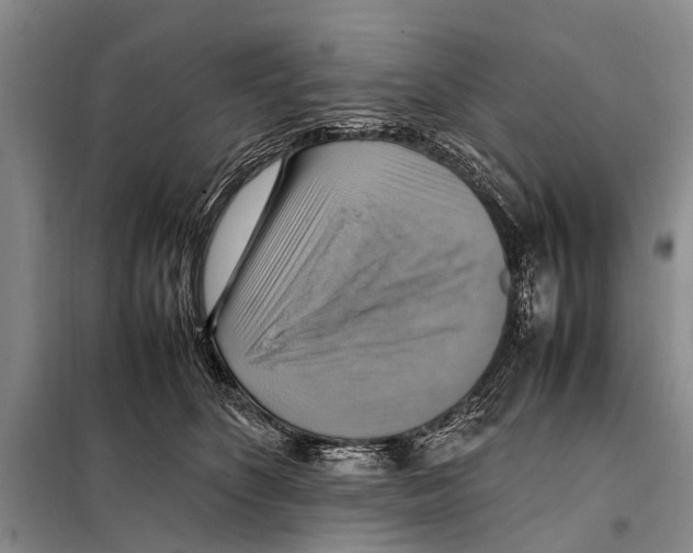 X0000097880516200804110954