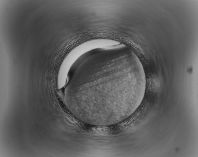 X0000097880517200804110954