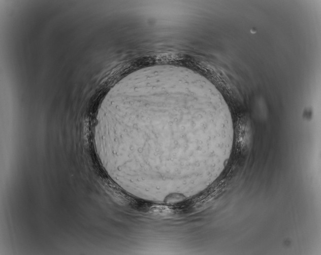 X0000097880519200804110954