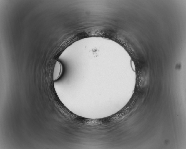 X0000097880521200804110954