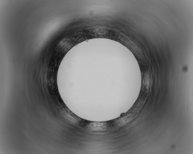 X0000097880526200804110954