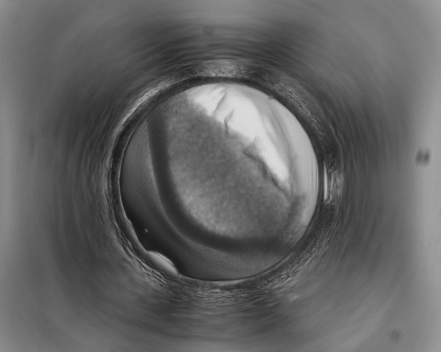 X0000097880531200804110953