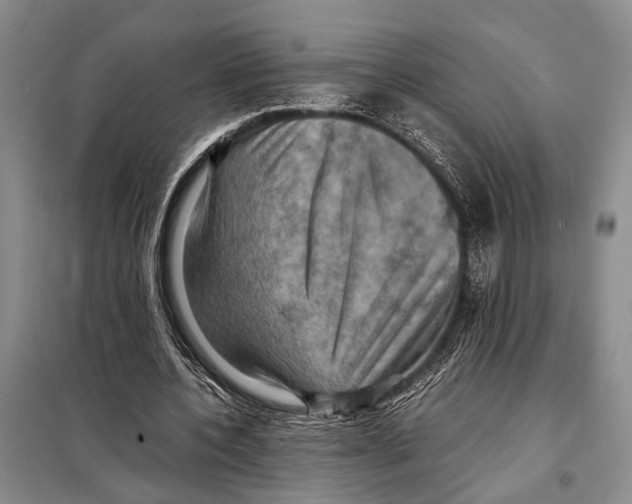 X0000097880532200804110953