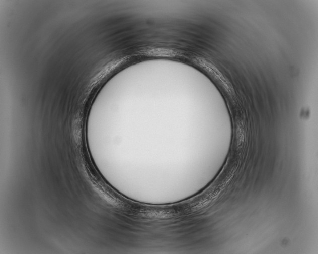 X0000097880533200804110953