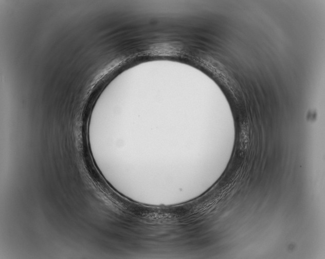 X0000097880535200804110953