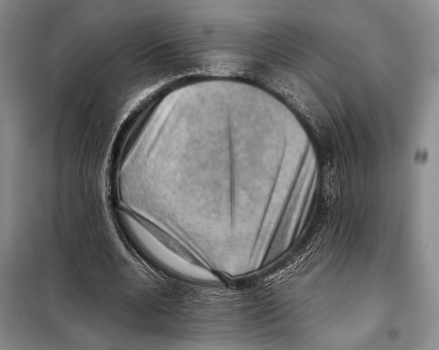 X0000097880536200804110953