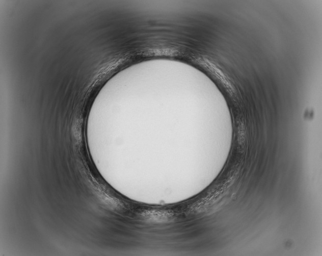 X0000097880537200804110953