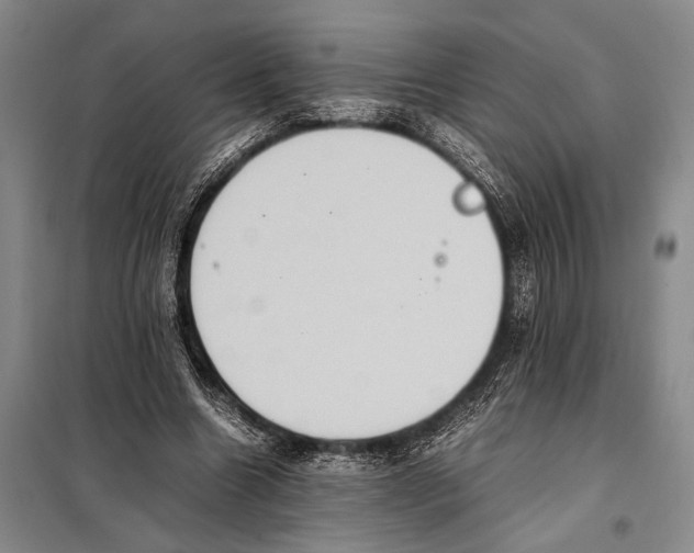 X0000097880538200804110953