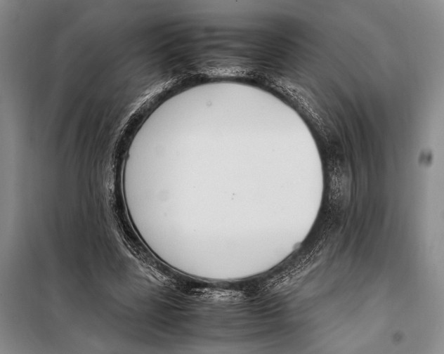 X0000097880539200804110953