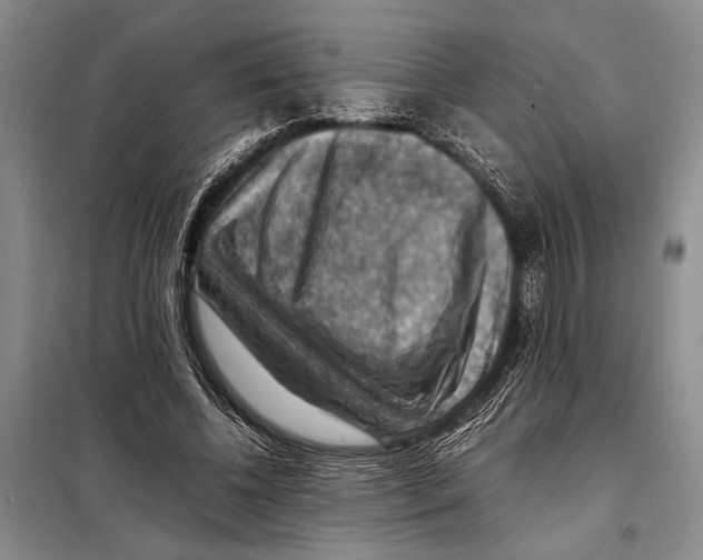 X0000097880540200804110953