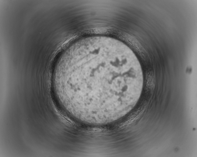 X0000097880542200804110953