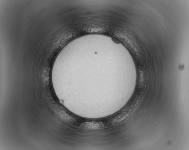 X0000097880545200804110953