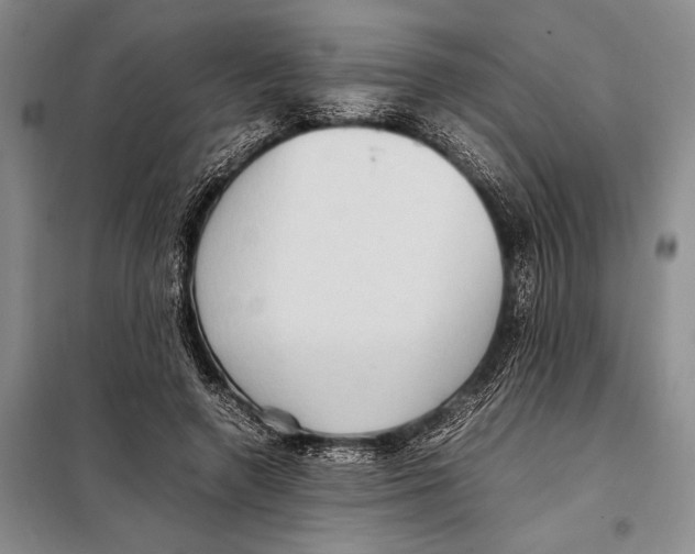 X0000097880546200804110953