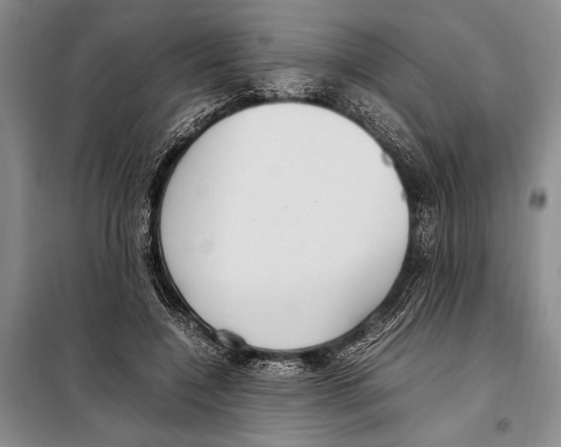 X0000097880548200804110953