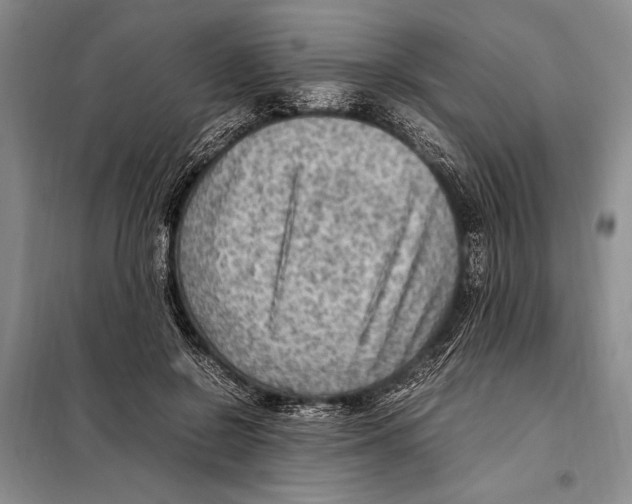 X0000097880550200804110953