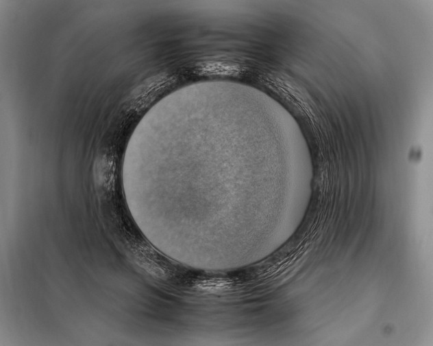 X0000097880551200804110953