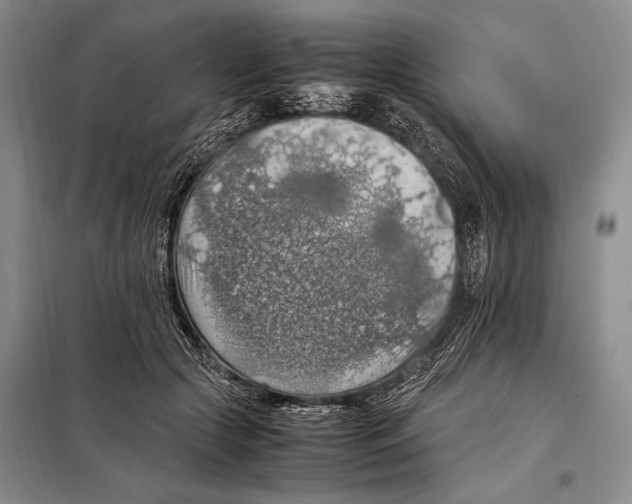 X0000097880553200804110954