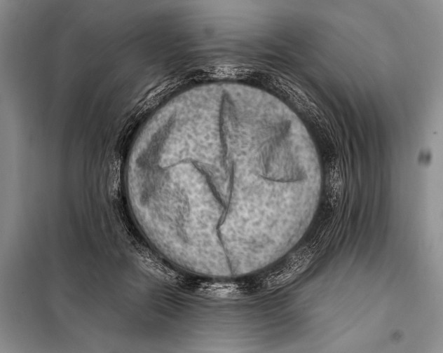 X0000097880554200804110954