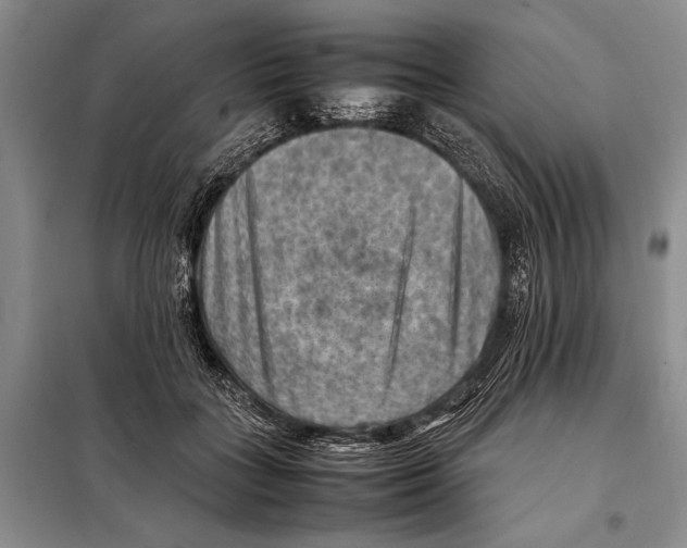 X0000097880555200804110954