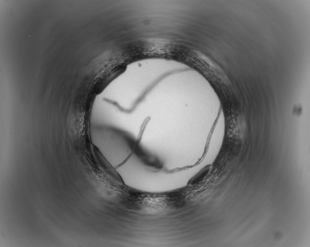 X0000097880560200804110954