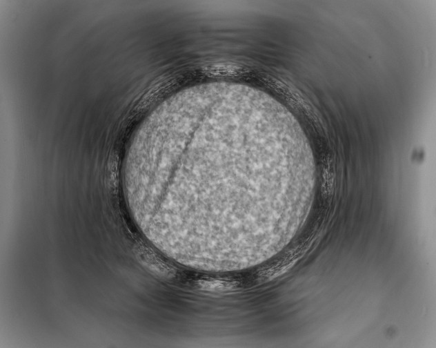 X0000097880561200804110954