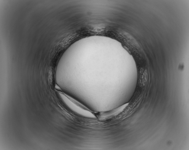 X0000097880562200804110954