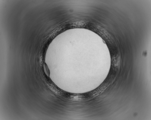 X0000097880564200804110954