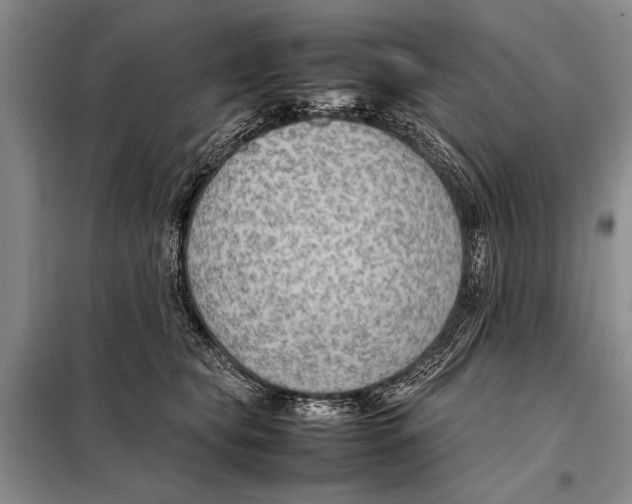 X0000097880565200804110954