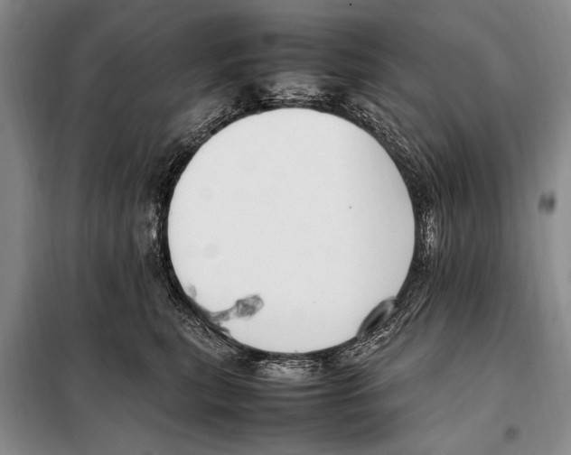 X0000097880567200804110954