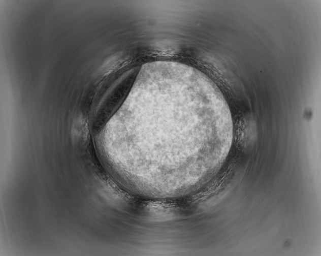 X0000097880568200804110954