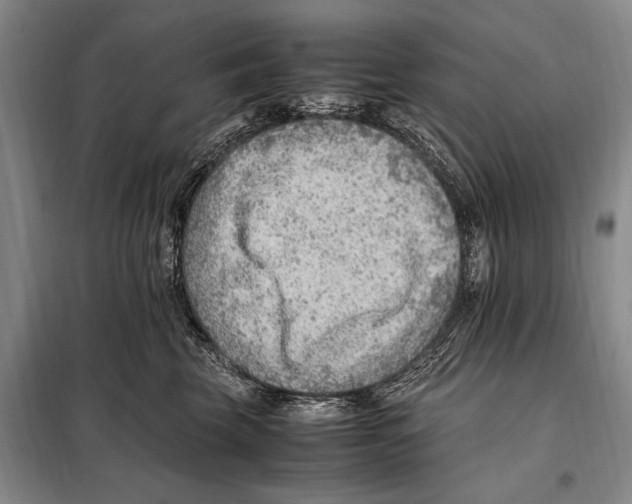 X0000097880569200804110954